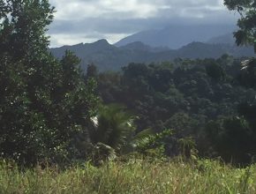 Photograph of Dominica Mountains