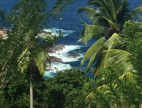 Photograph of Dominica coastline