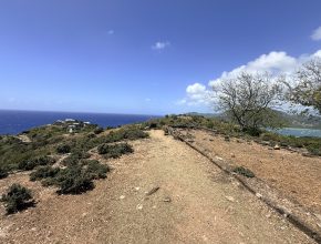 Fort Cuyler