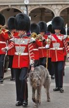 Changing the guard