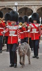 Changing the guard
