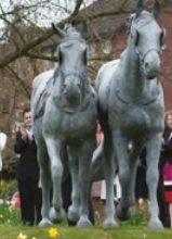 The Windsor Greys