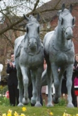 The Windsor Greys
