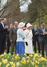 The Royal Family