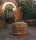 The Old Garden