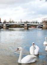 Far-off view of The Windsor Bridge