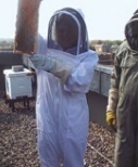 Beekeeping on The Hotel's Roof