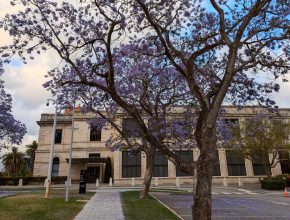 Parliament House (South entry) 
Photo by @little_bush_adventures