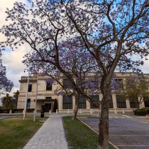 Parliament House (South entry) 
Photo by @little_bush_adventures